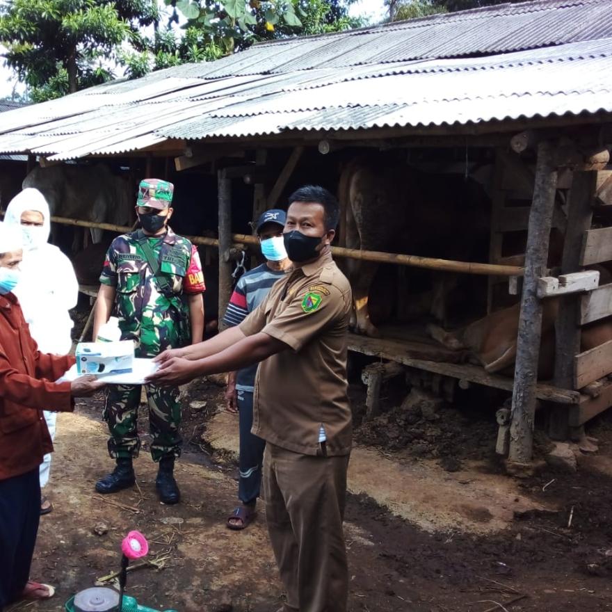 Penyemprotan Desinfektan di Kandang Peternakan Sapi Warga Desa Mekarlaksana